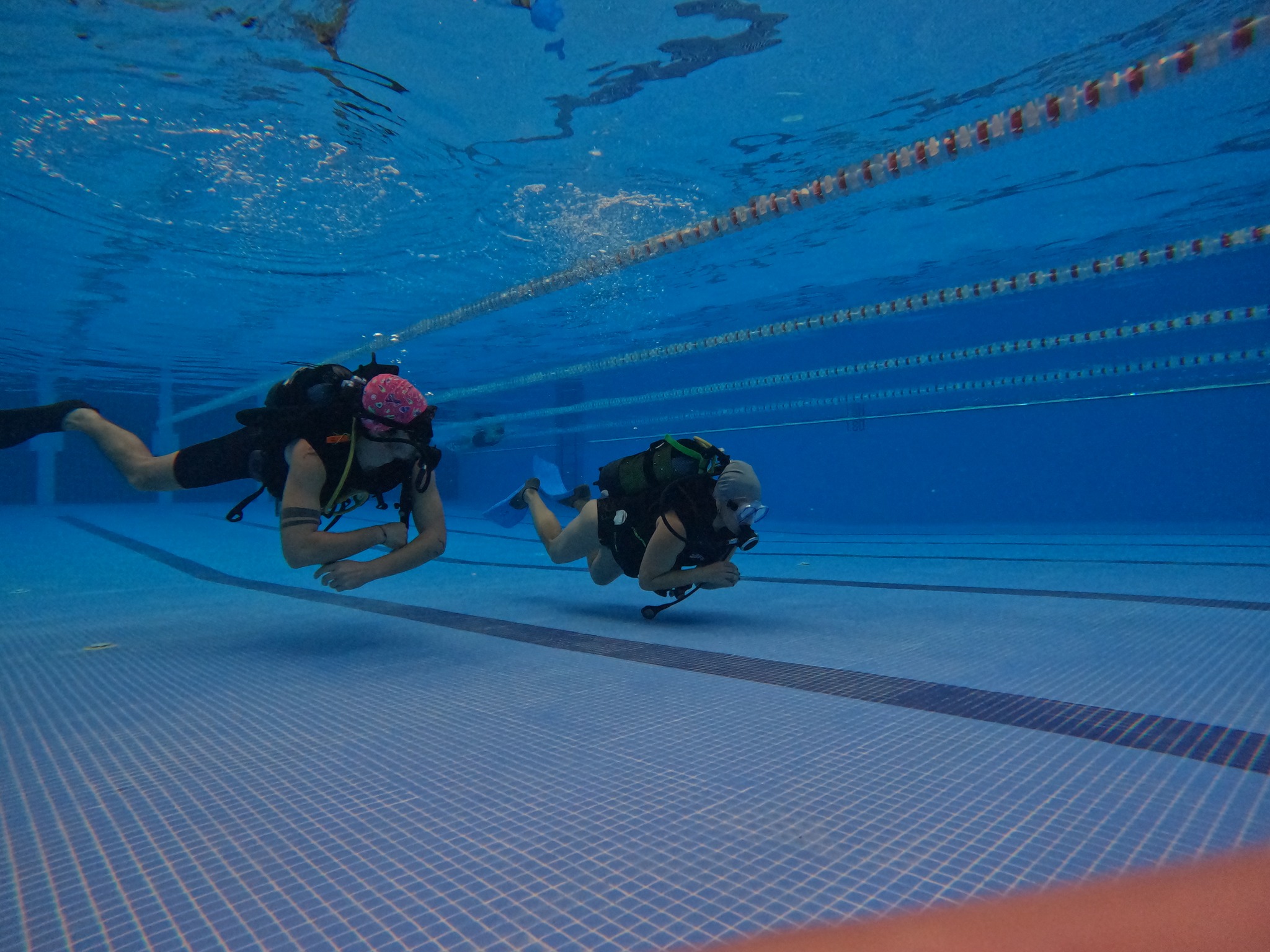 Ning&uacute;n ni&ntilde;o/a sin juguete. &iexcl;Gracias a todas y todos!